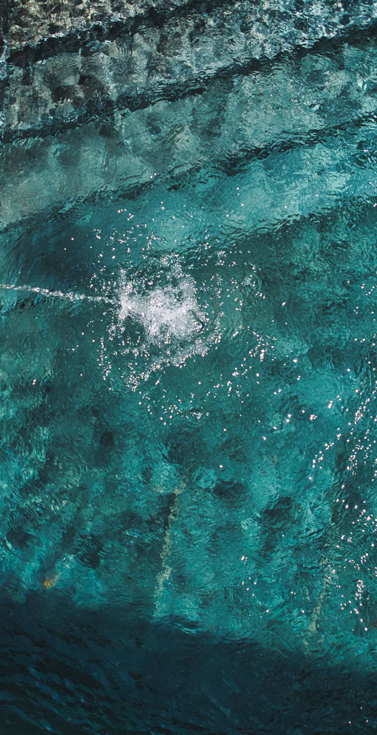 Hôtel Le Petit Manoir, un moment unique À vivre au cœur de la Dordogne